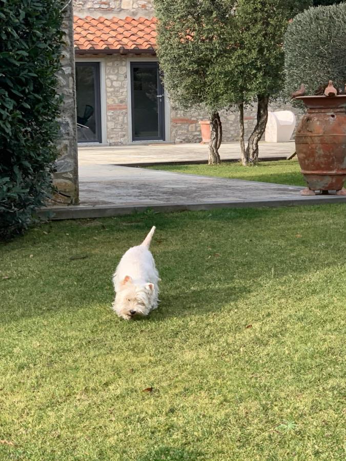 Appartamento In Villa Con Piscina - Mhateria Relais Rignano sullʼArno エクステリア 写真